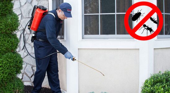 Erciş Bit İlaçlama böcek ilaçlama ve haşere kontrolü — ilaclama-tr.com